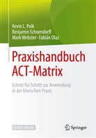 Fabián Olaz, Kevin Polk, Kevin L Polk, Kevin L. Polk, Benjami Schoendorff, Benjamin Schoendorff... - Praxishandbuch ACT-Matrix