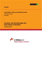 Anonym, Anonym - Ursachen und Auswirkungen des Soja-Anbaus in Brasilien
