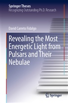 David Carreto Fidalgo - Revealing the Most Energetic Light from Pulsars and Their Nebulae