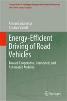 Antoni Sciarretta, Antonio Sciarretta, Ardalan Vahidi - Energy-Efficient Driving of Road Vehicles