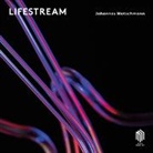 Johannes Motschmann, David Panzl - Lifestream, 1 Audio-CD (Audio book)