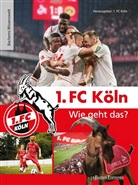 1. FC Köln, 1. FC Köln, FC Köln, 1 FC Köln - 1. FC Köln - Wie geht das?