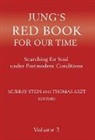 Thomas Arzt, Murray Stein - Jung's Red Book for Our Time