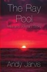 Andy Jarvis - The Ray Pool