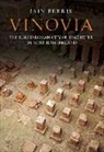 Dr Iain Ferris, Iain Ferris - Vinovia