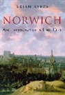 Brian Ayers - Norwich Archaeology of a Fine City