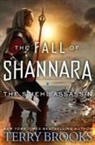 Terry Brooks - The Stiehl Assassin