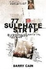 Barry Cain - 77 Sulphate Strip: An Eyewitness Account of the Year That Changed Everything