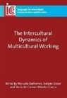 Dr Maria Manuela Guilherme, Maria Manuela Guilherme, Evelyne Glaser, Manuela Guilherme, Maria Manuela Guilherme, María Del Carmen Méndez-García - Intercultural Dynamics Multicultural Whb