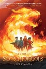 Amie Kaufman, Kaufman Amie - Scorch Dragons