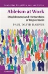 Paul David Harpur, Paul David (University of Queensland) Harpur - Ableism At Work