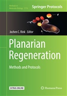Joche C Rink, Jochen C Rink, Jochen C. Rink - Planarian Regeneration