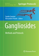 Prinetti, Prinetti, Alessandro Prinetti, Sandr Sonnino, Sandro Sonnino - Gangliosides