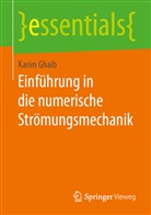 Karim Ghaib - Einführung in die numerische Strömungsmechanik