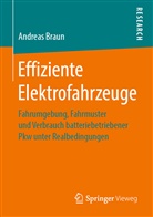 Andreas Braun - Effiziente Elektrofahrzeuge