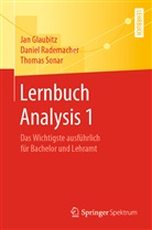 Ja Glaubitz, Jan Glaubitz, Danie Rademacher, Daniel Rademacher, Thomas Sonar - Lernbuch Analysis 1