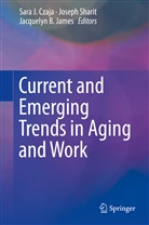 Jacquelyn B James, Sara J. Czaja, Jacquelyn B. James, Josep Sharit, Joseph Sharit - Current and Emerging Trends in Aging and Work