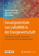 Ralf Leufkes, Marce Linnemann, Marcel Linnemann, Alexande Sommer, Alexander Sommer - Einsatzpotentiale von LoRaWAN in der Energiewirtschaft