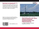 Maur Castillo, Mauro Castillo, Christia Hernández, Christian Hernández, Nesto Olvera, Nestor Olvera - Identificación de sitios potencialmente contaminados con hidrocarburos