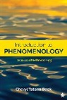 Cheryl Lisa Beck, Cheryl Tatano Beck, Cheryl Tatano Tatano Beck, Beck Cheryl Tatano - Introduction to Phenomenology