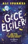 Ali Sparkes - Gece Elcileri