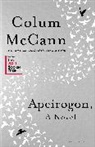 Colum McCann, Column McCann - Apeirogon