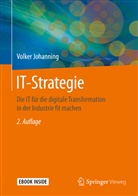 Volker Johanning - IT-Strategie
