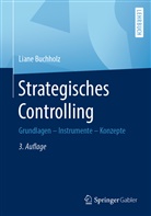 Liane Buchholz - Strategisches Controlling