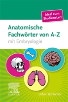 Elsevier GmbH, Elsevier GmbH, Urban &amp; Fischer - Anatomische Fachwörter von A-Z