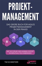 Tim Schweitzer, Cherry Finance, Cherr Finance, Cherry Finance - Projektmanagement
