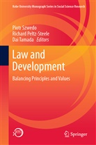 Richar Peltz-Steele, Richard Peltz-Steele, Piotr Szwedo, Dai Tamada - Law and Development