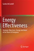 Sandra McCardell - Energy Effectiveness