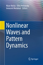 Nizar Abcha, Innocent Mutabazi, Efi Pelinovsky, Efim Pelinovsky - Nonlinear Waves and Pattern Dynamics