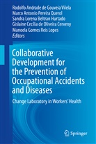 Marc Antonio Pereira Querol, Marco Antonio Pereira Querol, Sandra Lorena Beltran Hurtado, Gislaine Cecília de Oliveira Cerveny, Manoela Gomes Reis Lopes, Lorena Beltran Hurta... - Collaborative Development for the Prevention of Occupational Accidents and Diseases