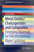 Satyajit Ratha, Aneeya Kuma Samantara, Aneeya Kumar Samantara - Metal Oxides/Chalcogenides and Composites
