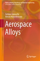 Stefan Gialanella, Stefano Gialanella, Alessio Malandruccolo - Aerospace Alloys