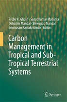 Probir K. Ghosh, Sana Kumar Mahanta, Sanat Kumar Mahanta, Sanat Kumar Mahanta, Biswapathi Mandal, Biswapati Mandal... - Carbon Management in Tropical and Sub-Tropical Terrestrial Systems