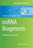 Ul Andersson Vang Ørom, Ulf Andersson Vang Ørom, Ulf Andersson Vang orom, Ulf Andersson Vang Ørom - miRNA Biogenesis