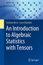 Cristian Bocci, Cristiano Bocci, Luca Chiantini - An Introduction to Algebraic Statistics with Tensors