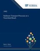 Paul Work - Sediment Transport Processes at a Nourished Beach