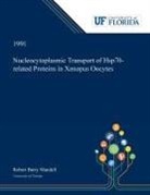 Robert Mandell - Nucleocytoplasmic Transport of Hsp70-related Proteins in Xenopus Oocytes