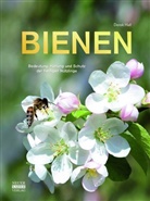 Derek Hall - Bienen