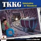 Stefan Wolf - Ein Fall für TKKG - Geiselnahme im Villenviertel, 1 Audio-CD (Audio book)