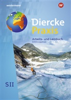 Andrea Bremm, Andreas Bremm, Ursul Brinkmann-Brock, Ursula Brinkmann-Brock, E Elvenich, Erik Elvenich... - Diercke Praxis SII: Diercke Praxis SII - Arbeits- und Lernbuch - Ausgabe 2020