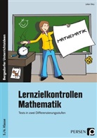 Julian Stey - Lernzielkontrollen Mathematik 5./6. Klasse