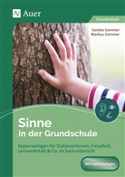 Markus Sommer, Sandr Sommer, Sandra Sommer - Sinne in der Grundschule