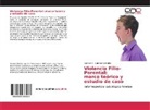 Carmen A Sánchez Salvador, Carmen A. Sánchez Salvador - Violencia Filio-Parental: marco teórico y estudio de caso