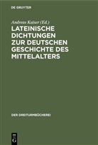 Andrea Kaiser, Andreas Kaiser - Lateinische Dichtungen zur deutschen Geschichte des Mittelalters