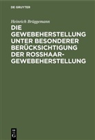 Heinrich Brüggemann - Die Gewebeherstellung unter besonderer Berücksichtigung der Rosshaargewebeherstellung