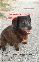 Alexander Lassalle - Ein Wunder namens Molla